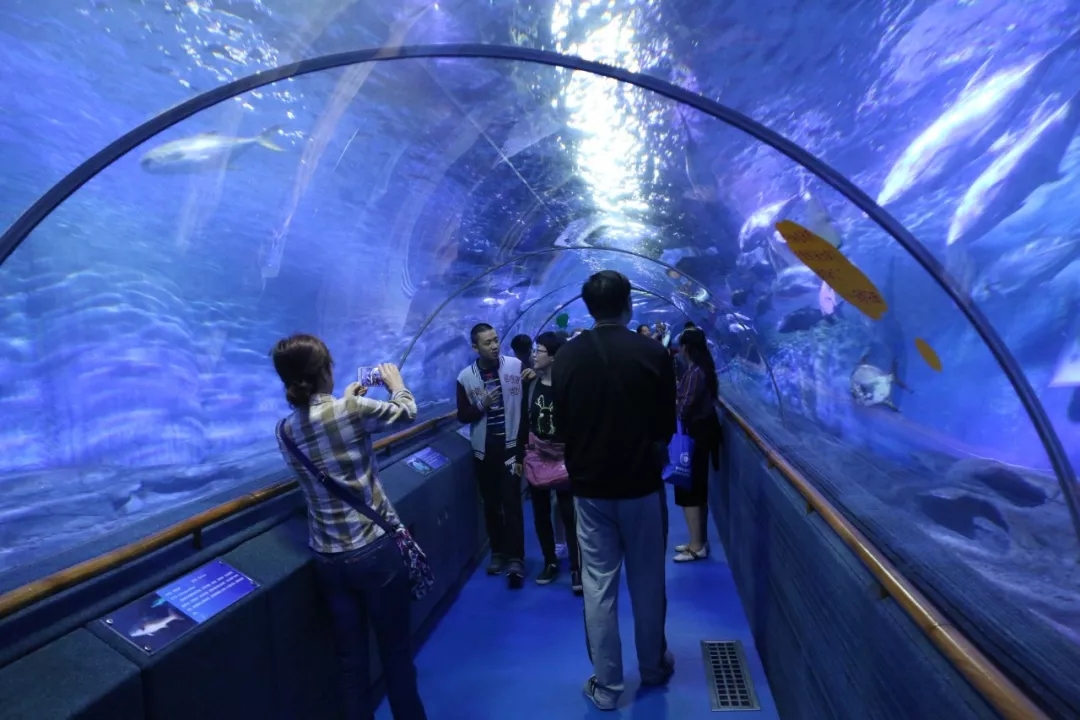 您好,厦门海底世界有限公司欢迎你!